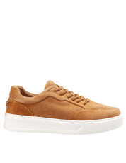 BARRACUDA SNEAKERS PHOENIX IN CAMOSCIO COLORE RUM